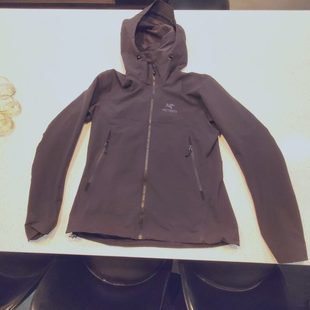 SOLD Arc'teryx Gamma LT Hoodie Black in Large